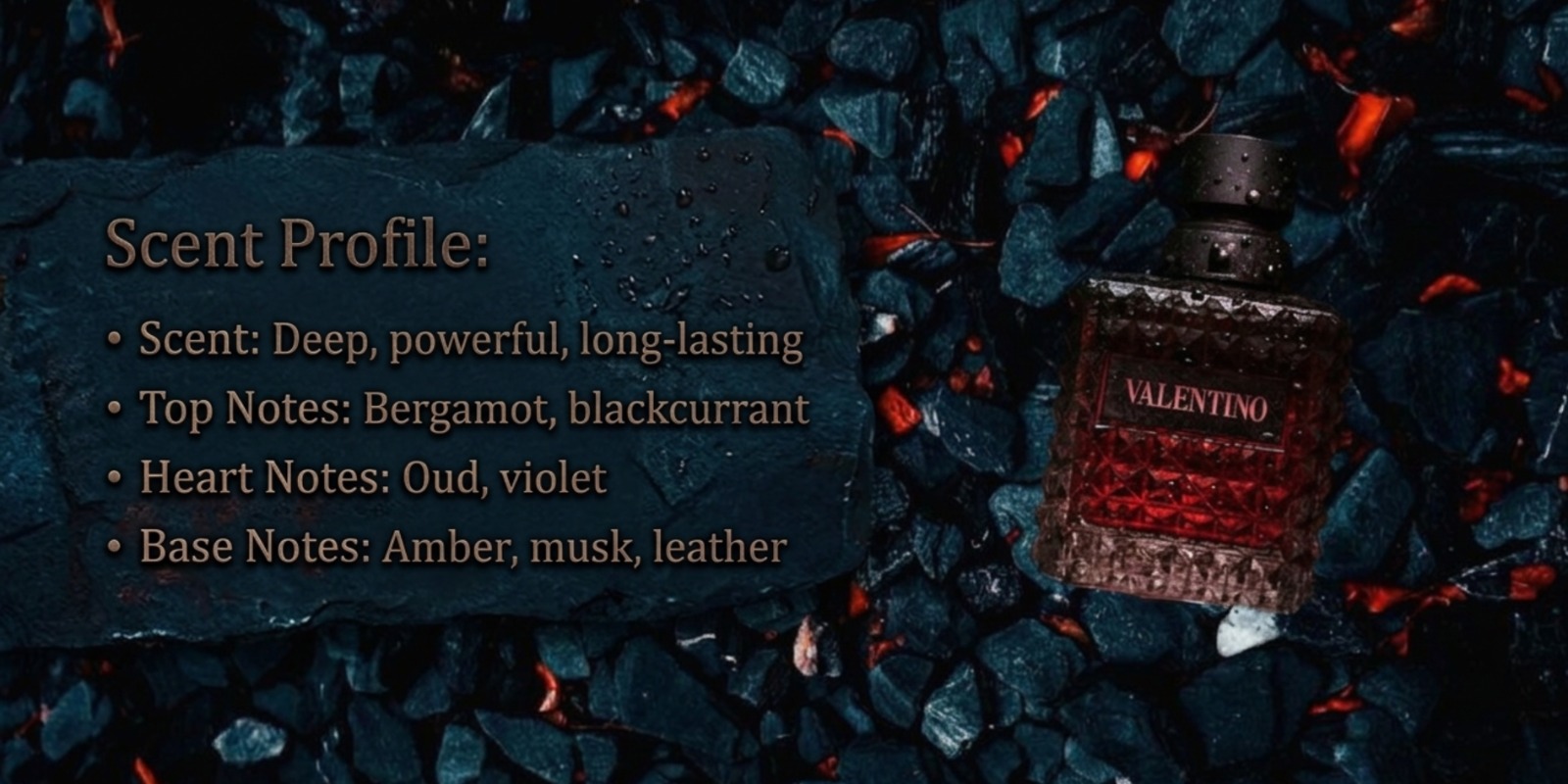 WhatsApp Image 2026-04-30 at 12.23.58 AM (3)